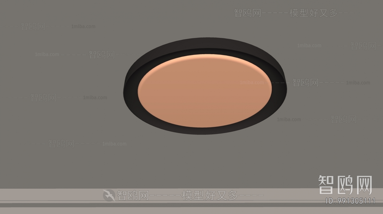 Modern Ceiling Ceiling Lamp