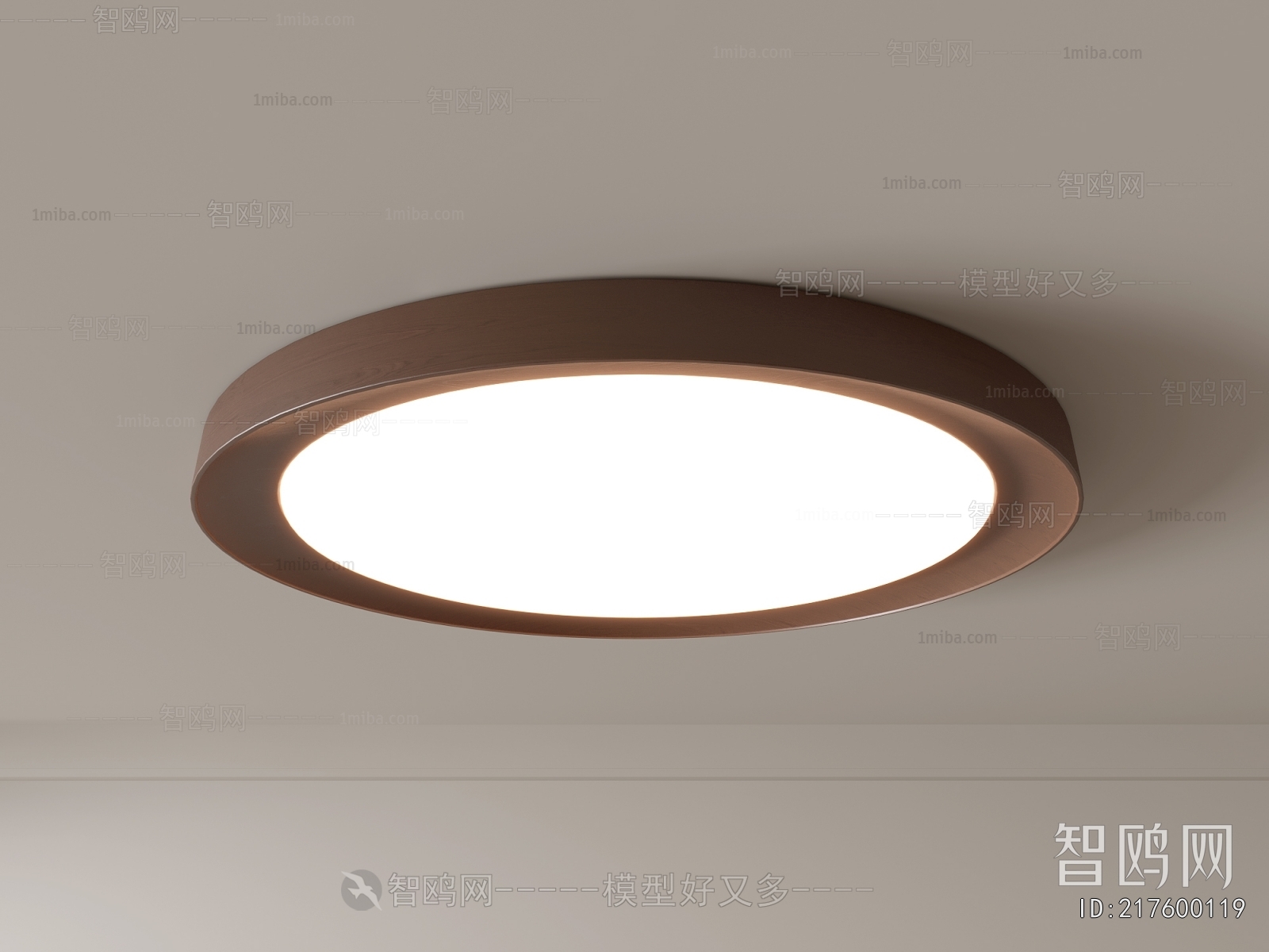 Modern Ceiling Ceiling Lamp