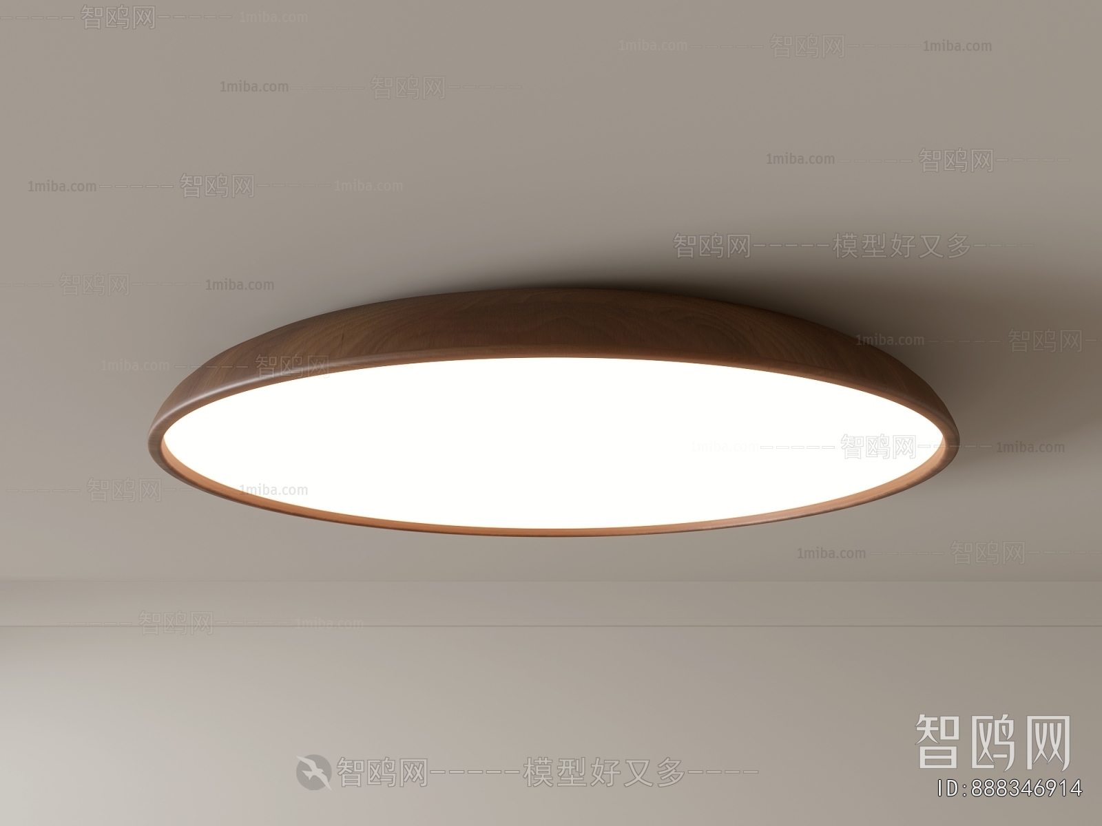 Modern Ceiling Ceiling Lamp
