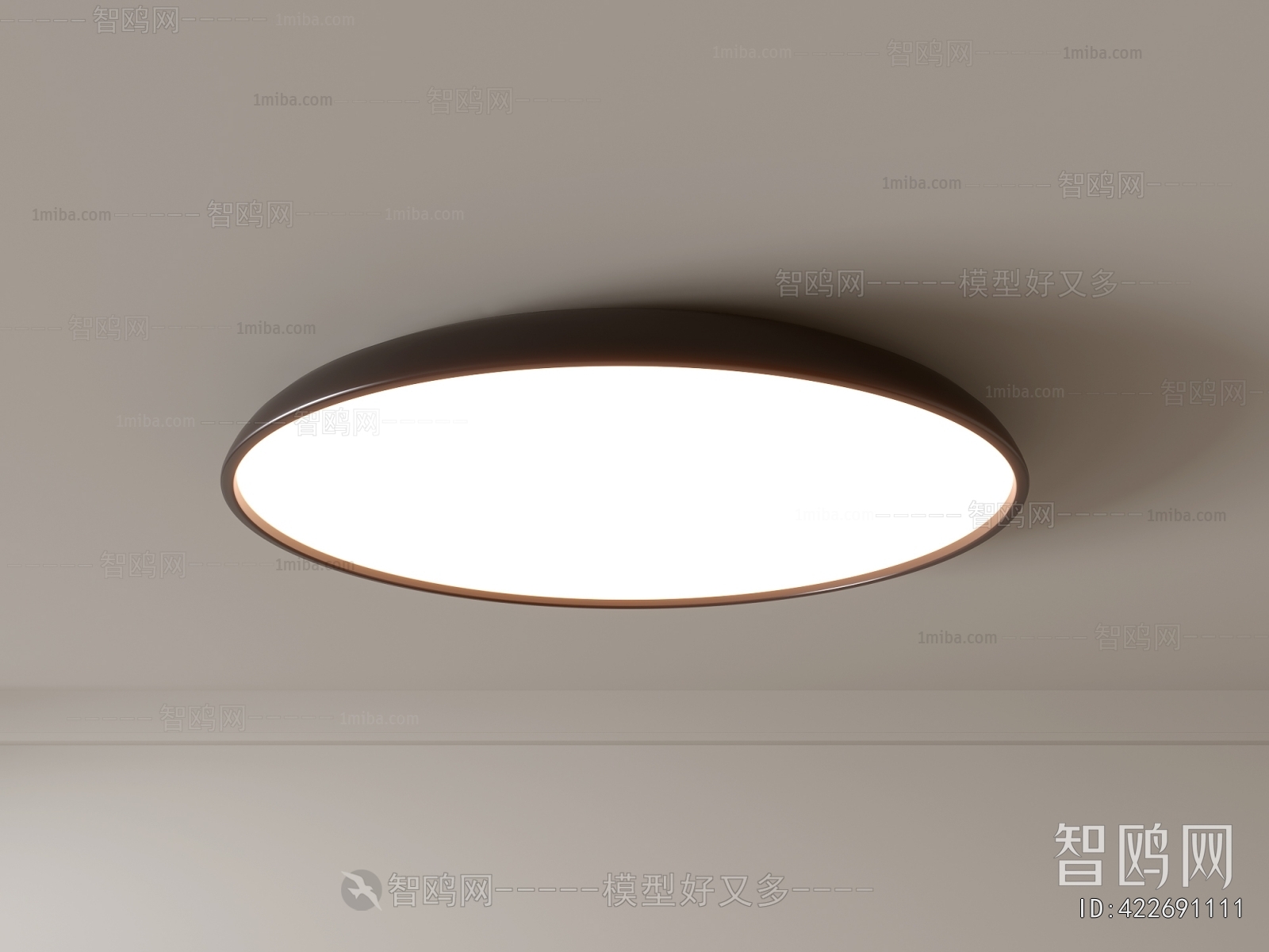 Modern Ceiling Ceiling Lamp