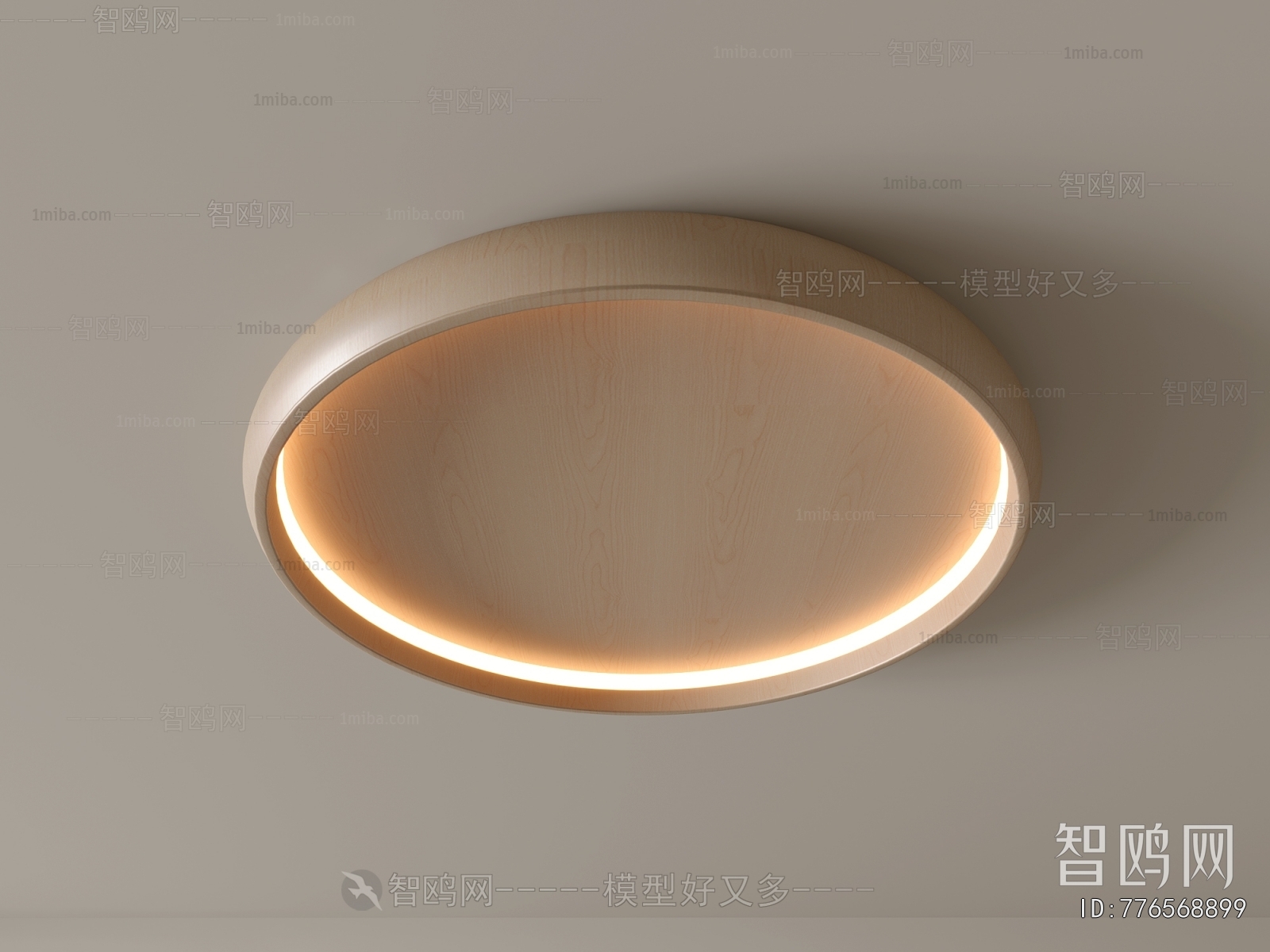 Modern Ceiling Ceiling Lamp