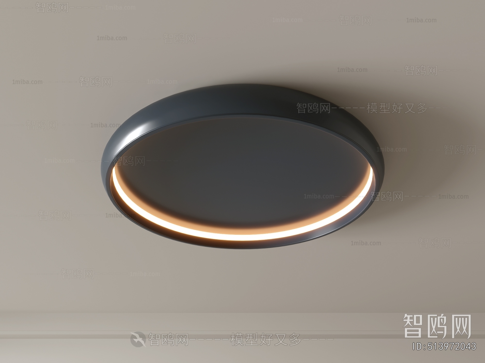 Modern Ceiling Ceiling Lamp