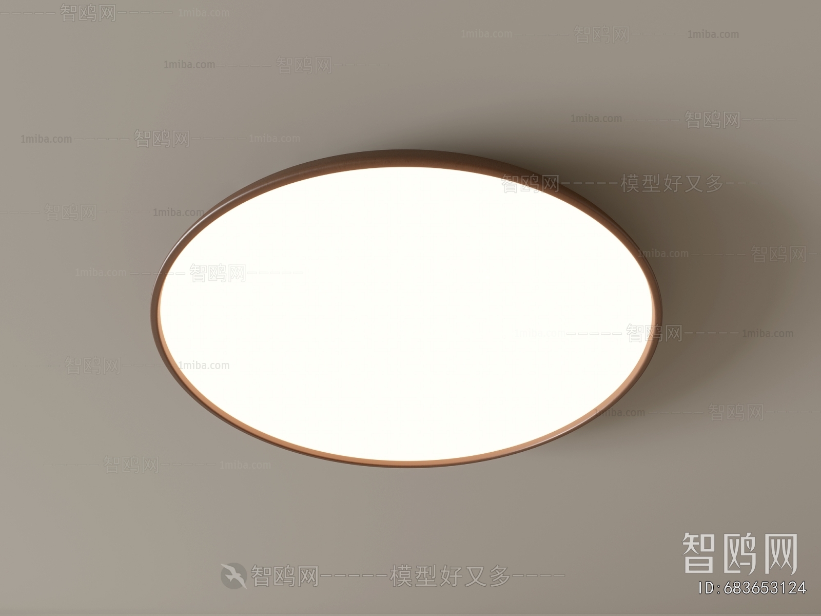 Modern Ceiling Ceiling Lamp