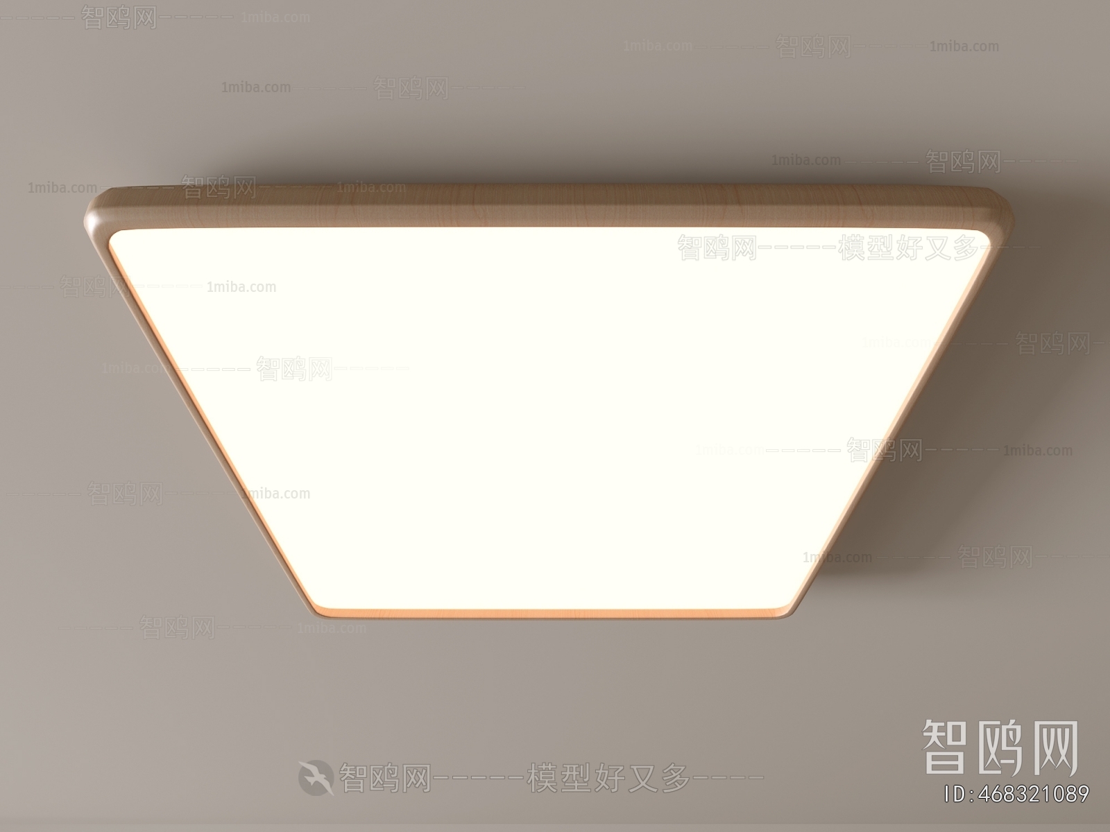Modern Ceiling Ceiling Lamp
