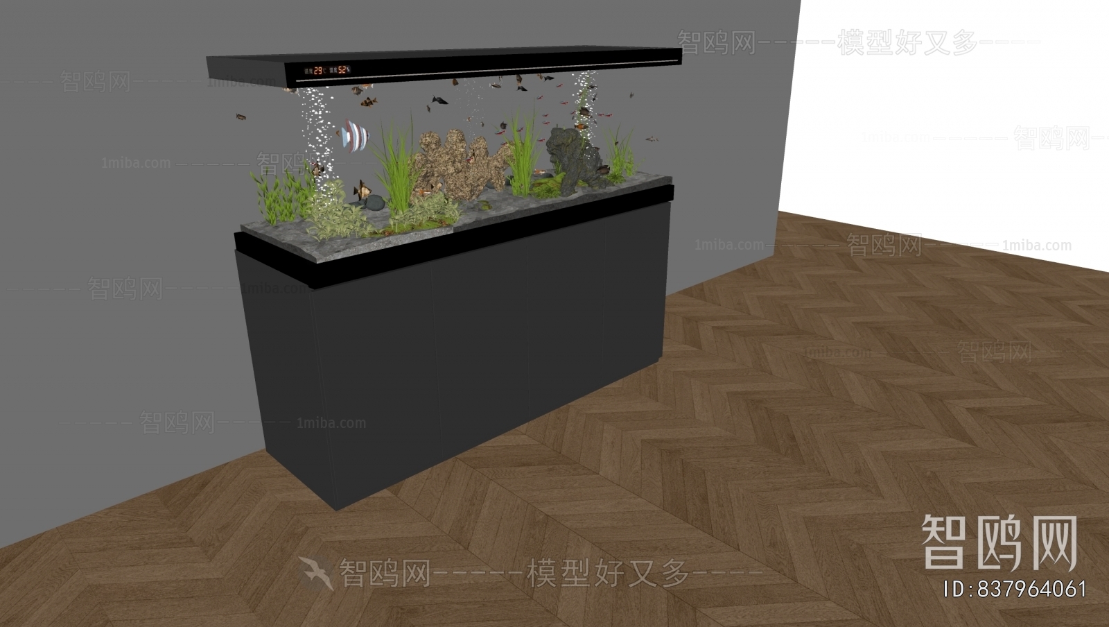Modern Fish Tank