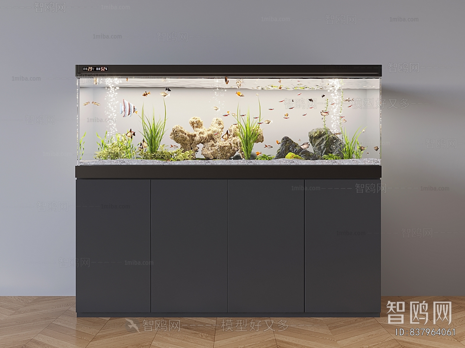 Modern Fish Tank