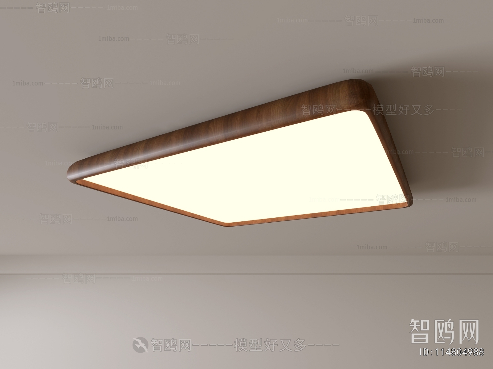 Modern Ceiling Ceiling Lamp