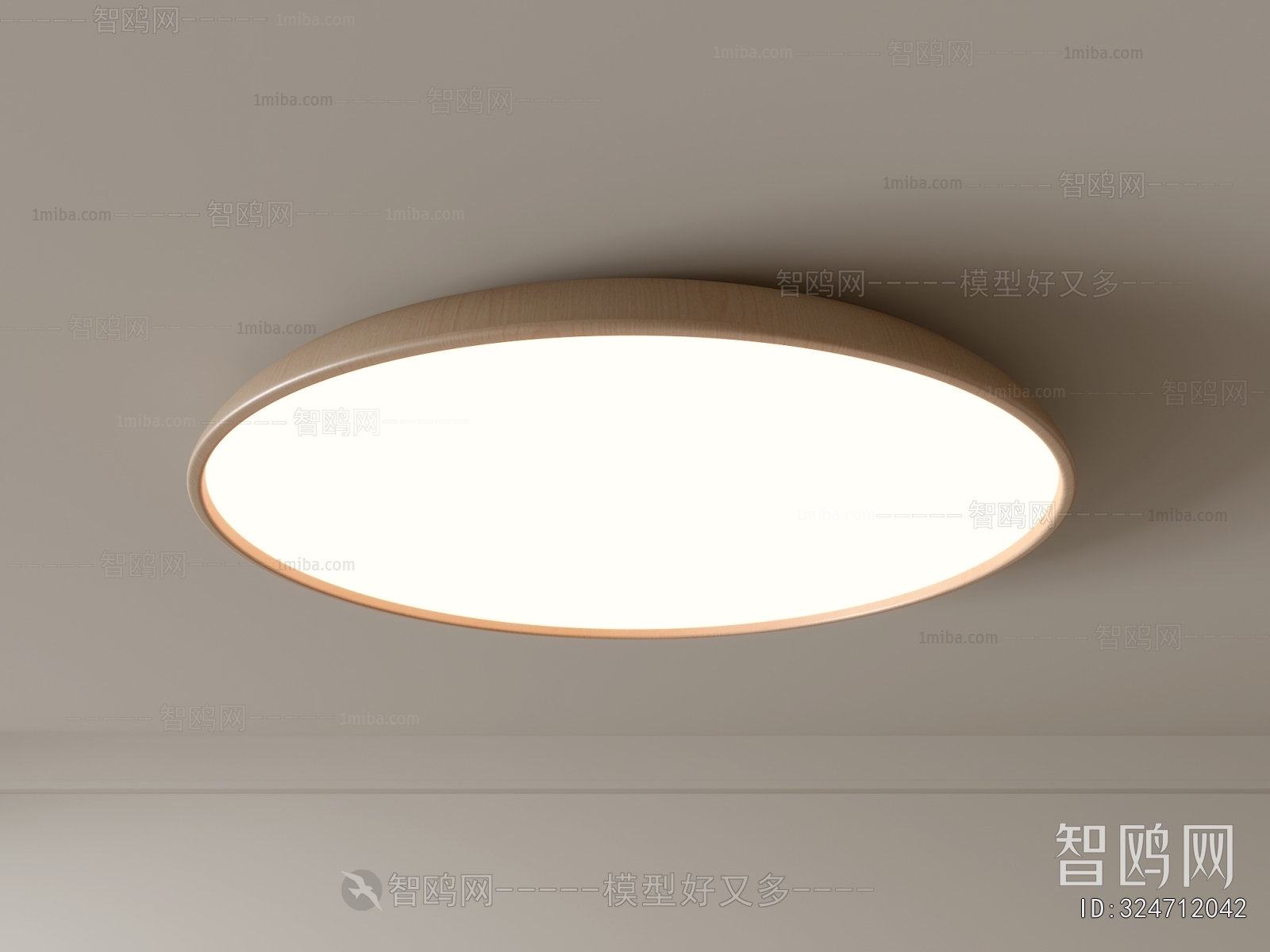 Modern Ceiling Ceiling Lamp