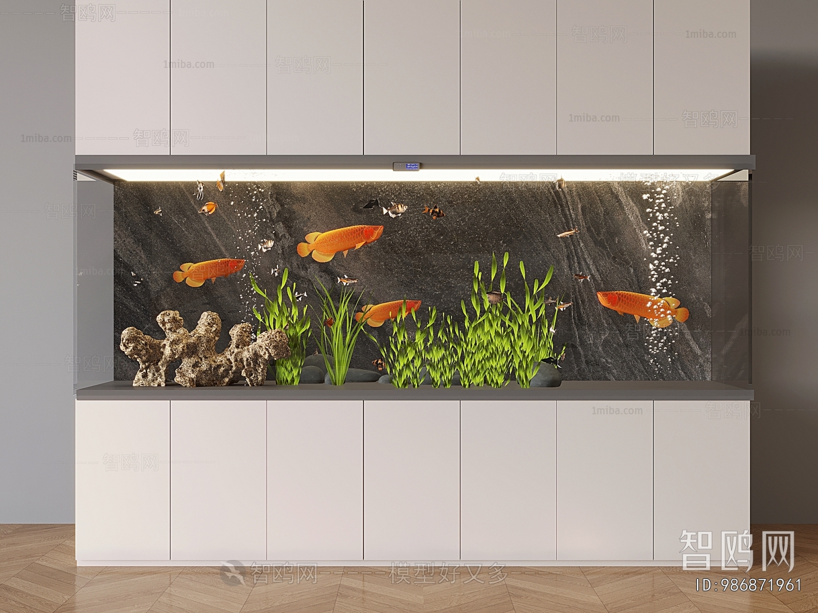 Modern Fish Tank