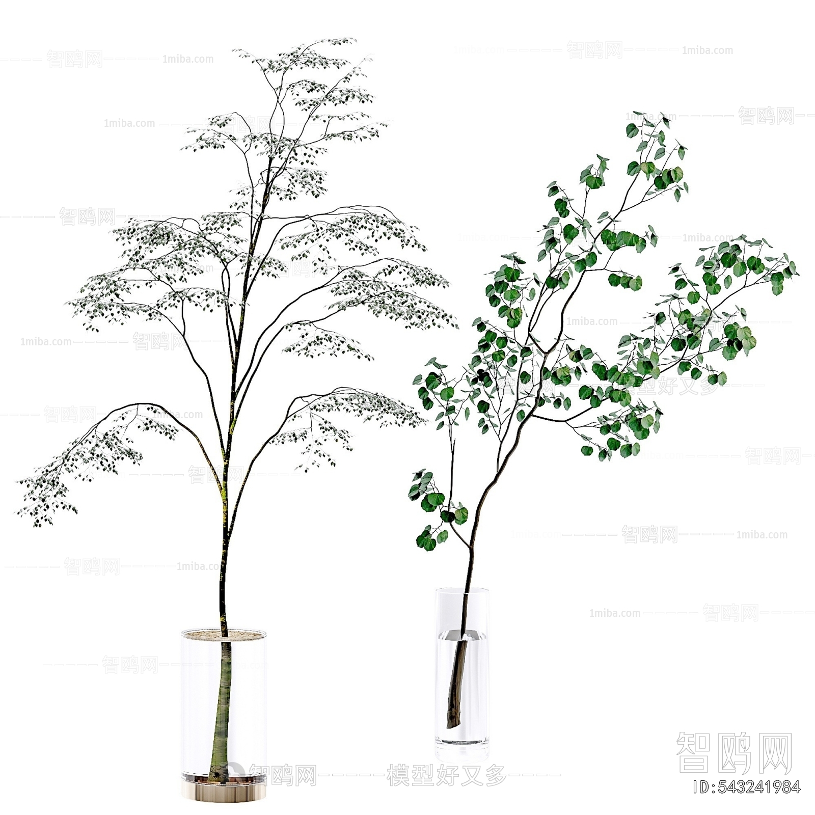 Modern Aquatic Green Plant