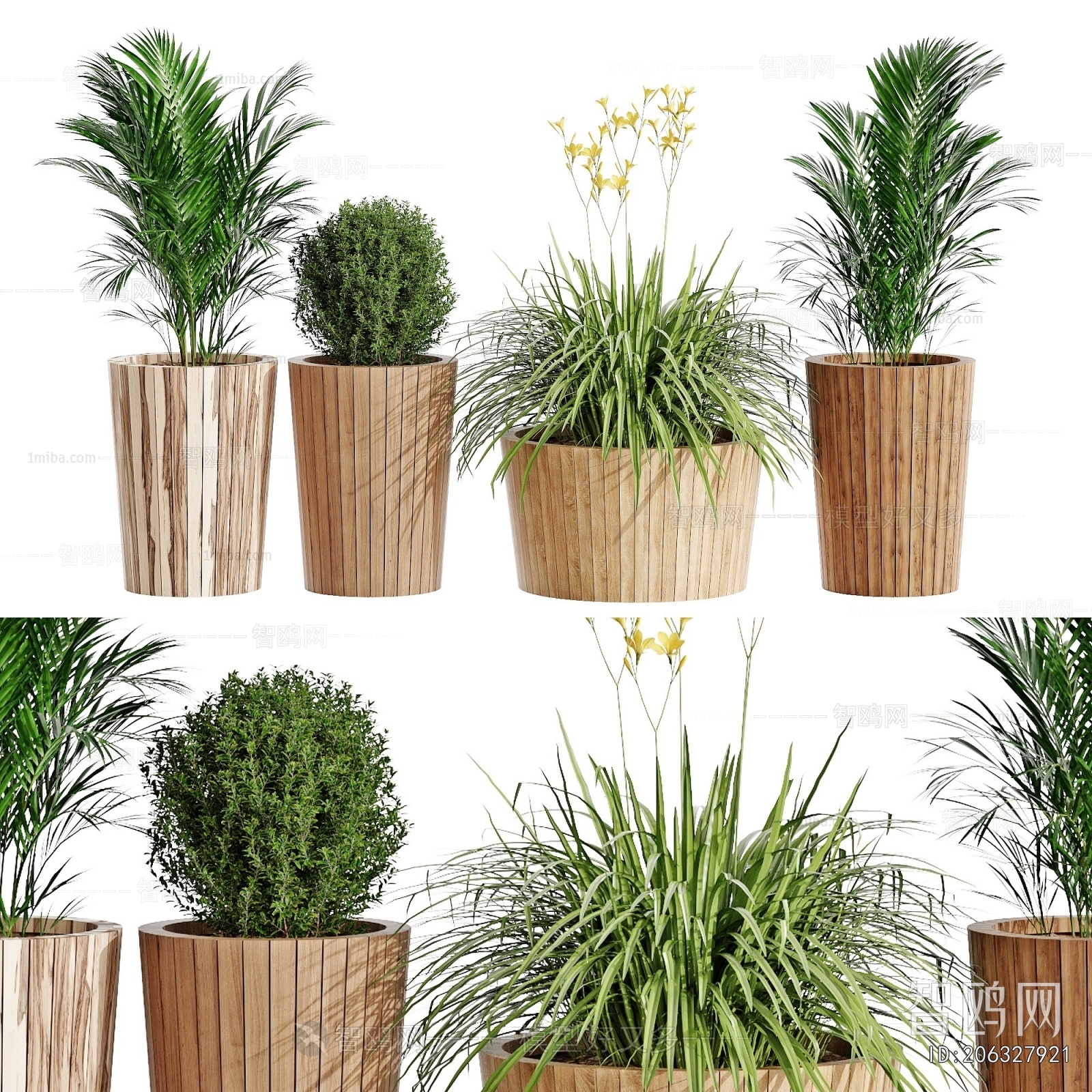 Modern Flower Bed, Flower Bowl, Flower Box