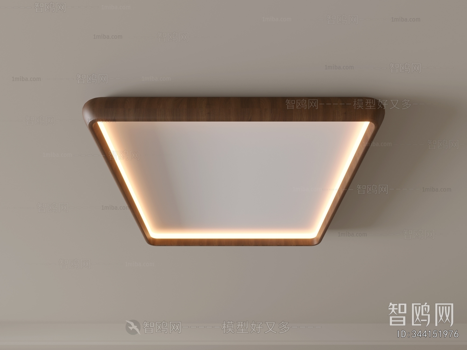 Modern Ceiling Ceiling Lamp