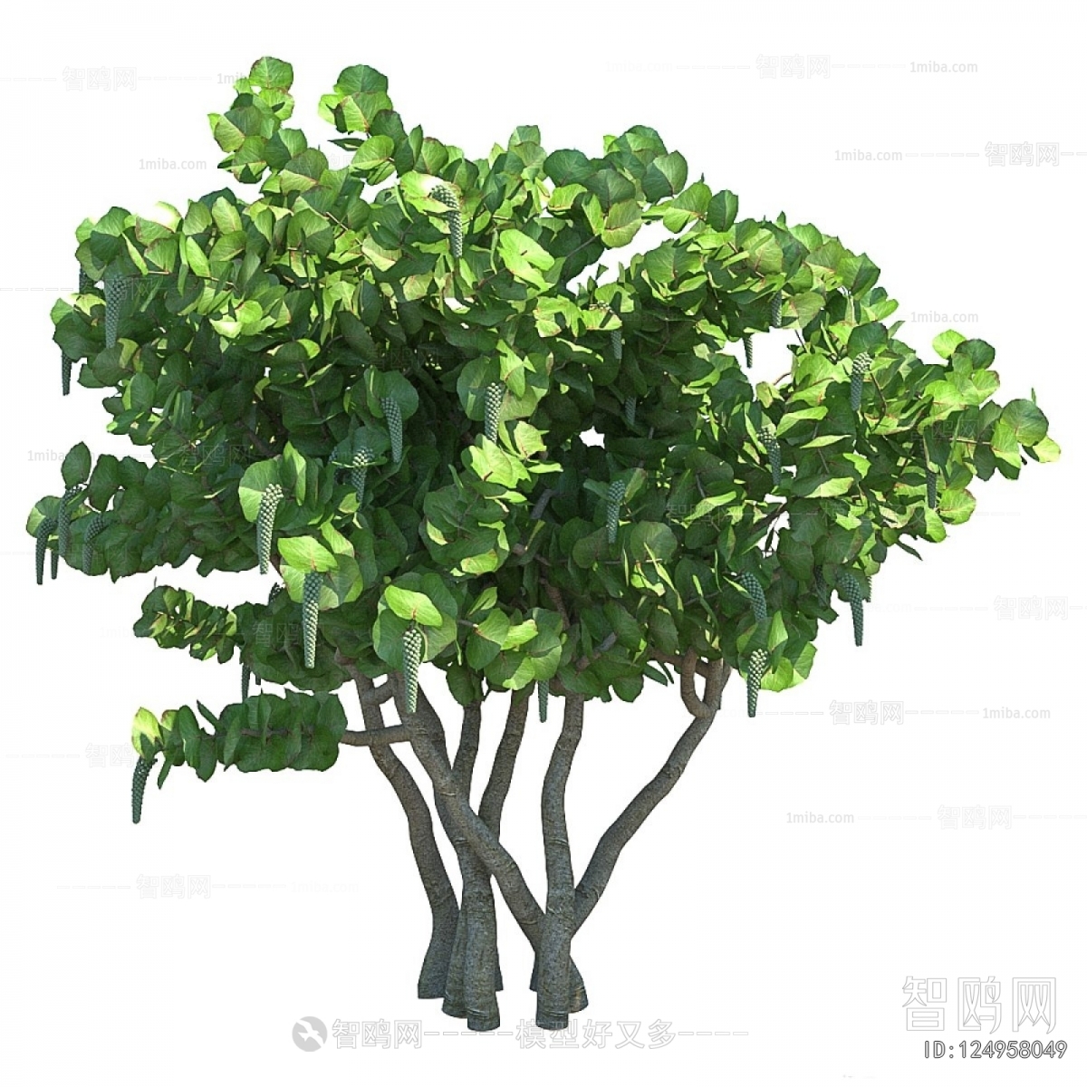 Modern Tree