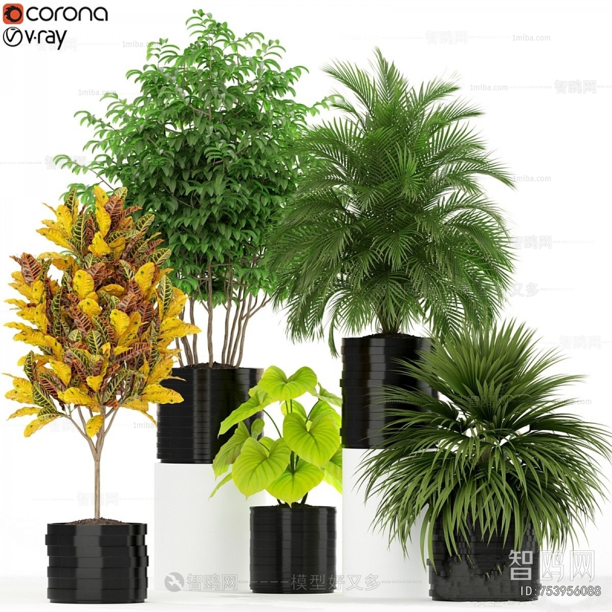 Modern Ground Green Plant Potted Plants