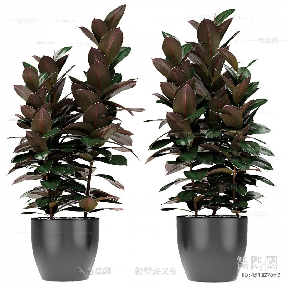Modern Ground Green Plant Potted Plants
