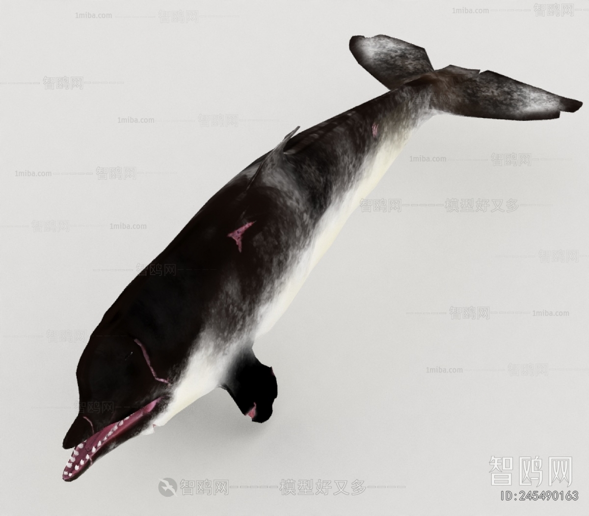 Modern Aquatic Animals