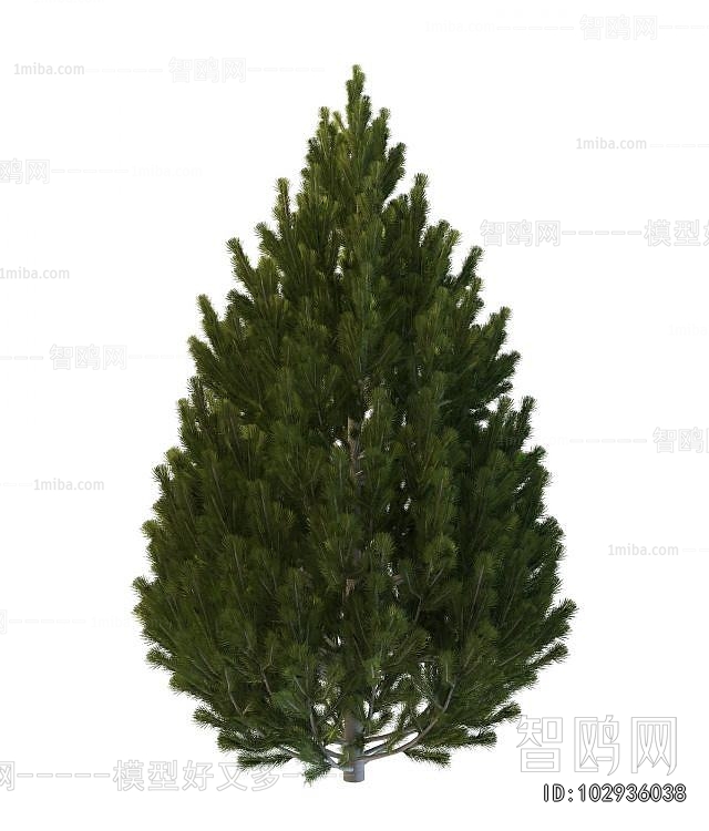 Modern Shrubbery