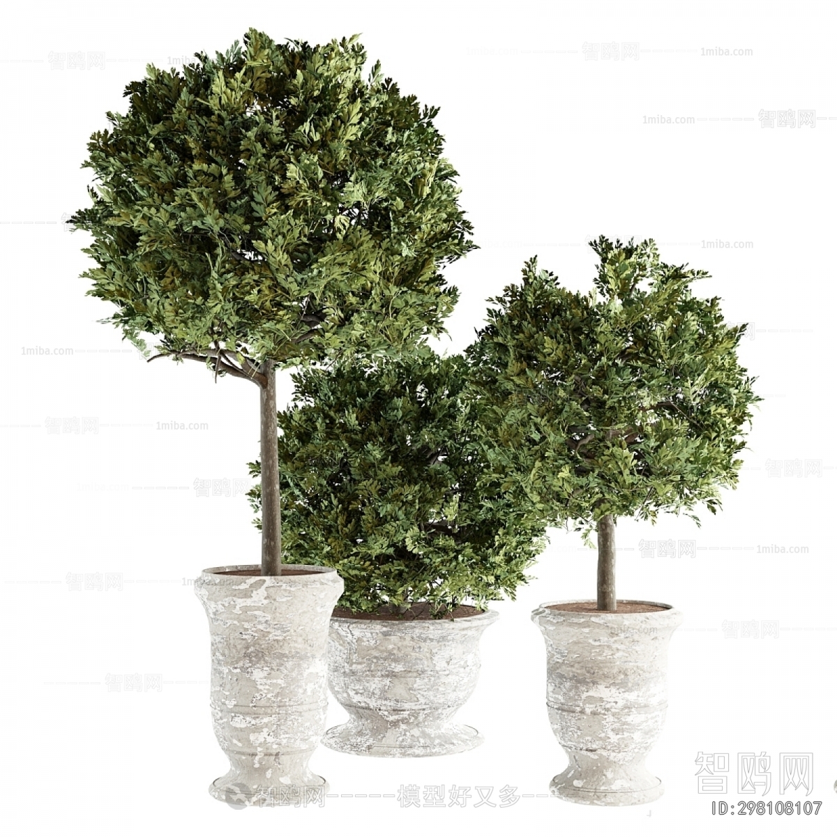Modern Ground Green Plant Potted Plants