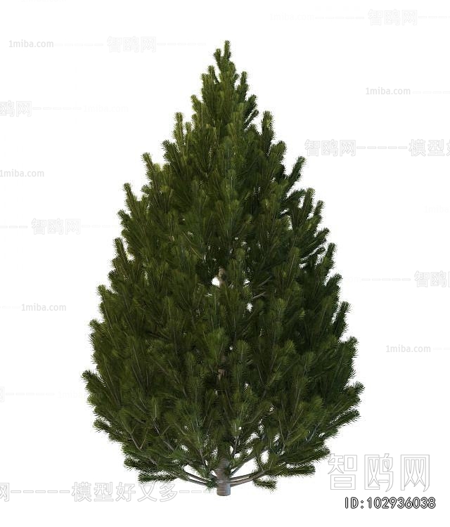 Modern Shrubbery