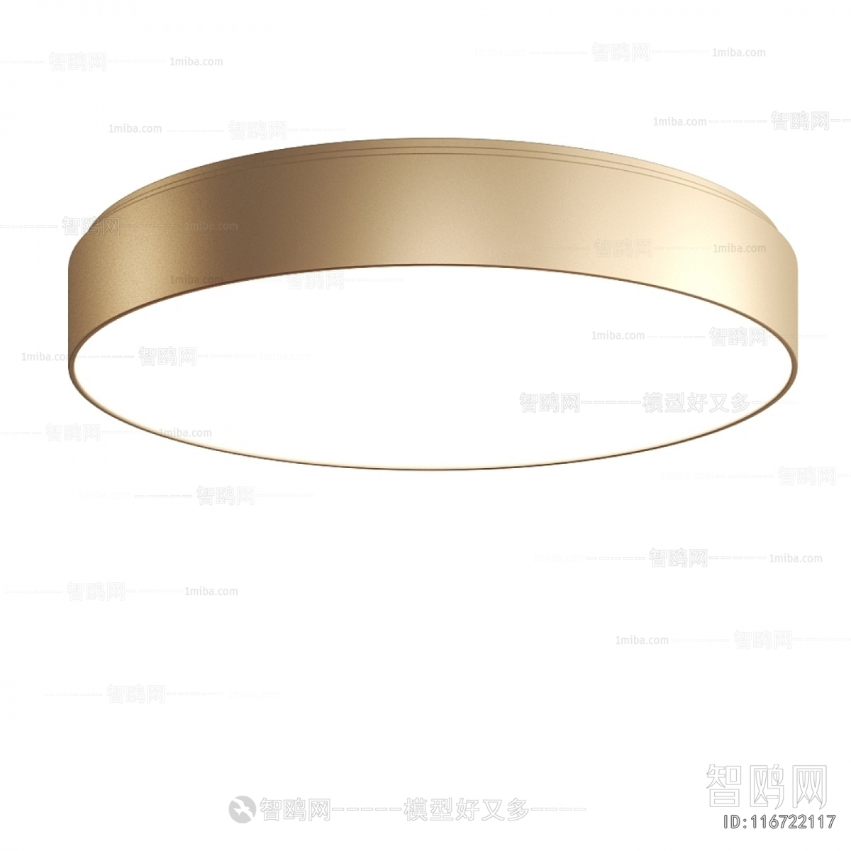 Modern Ceiling Ceiling Lamp