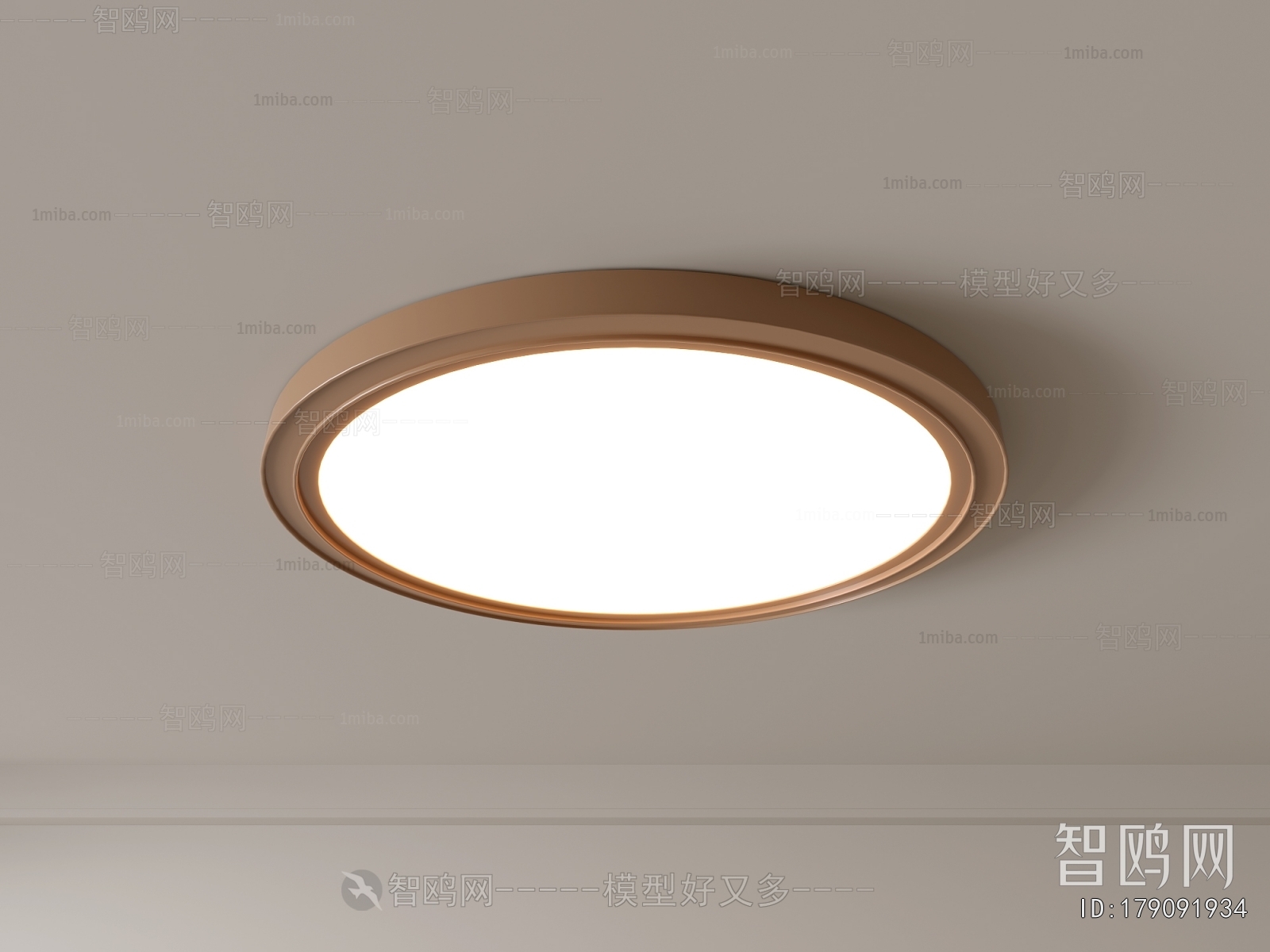 Modern Ceiling Ceiling Lamp