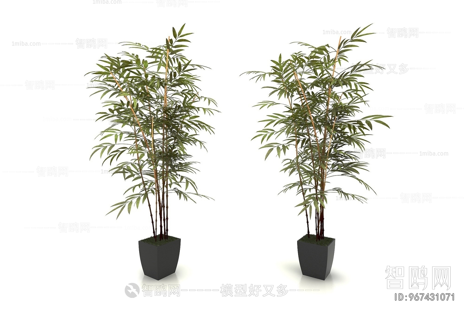 Modern Ground Green Plant Potted Plants