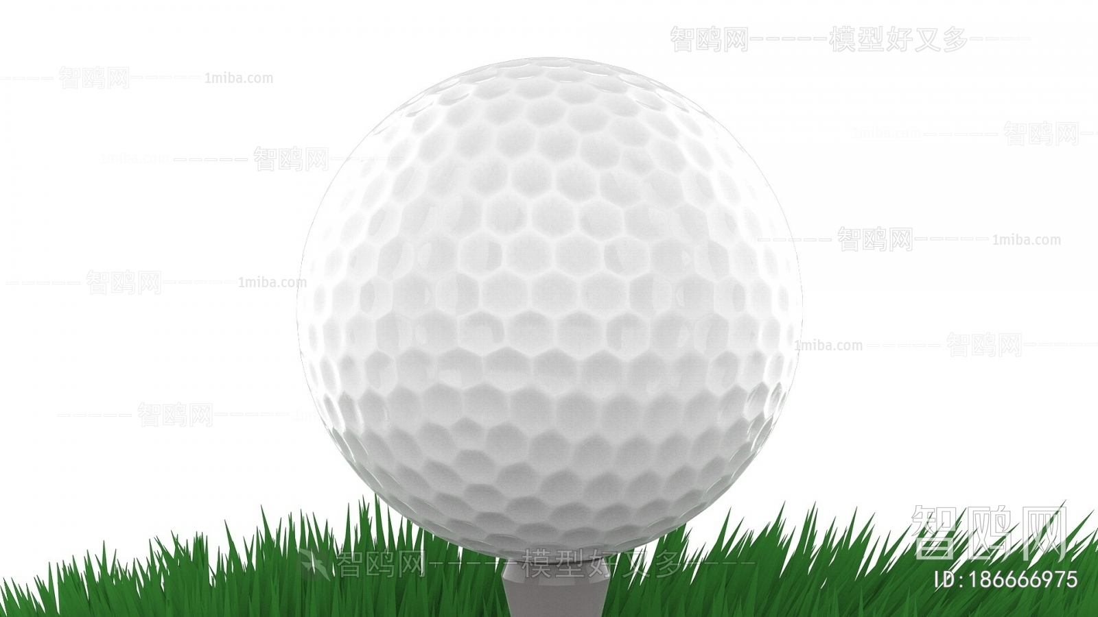 Modern Ball Equipment