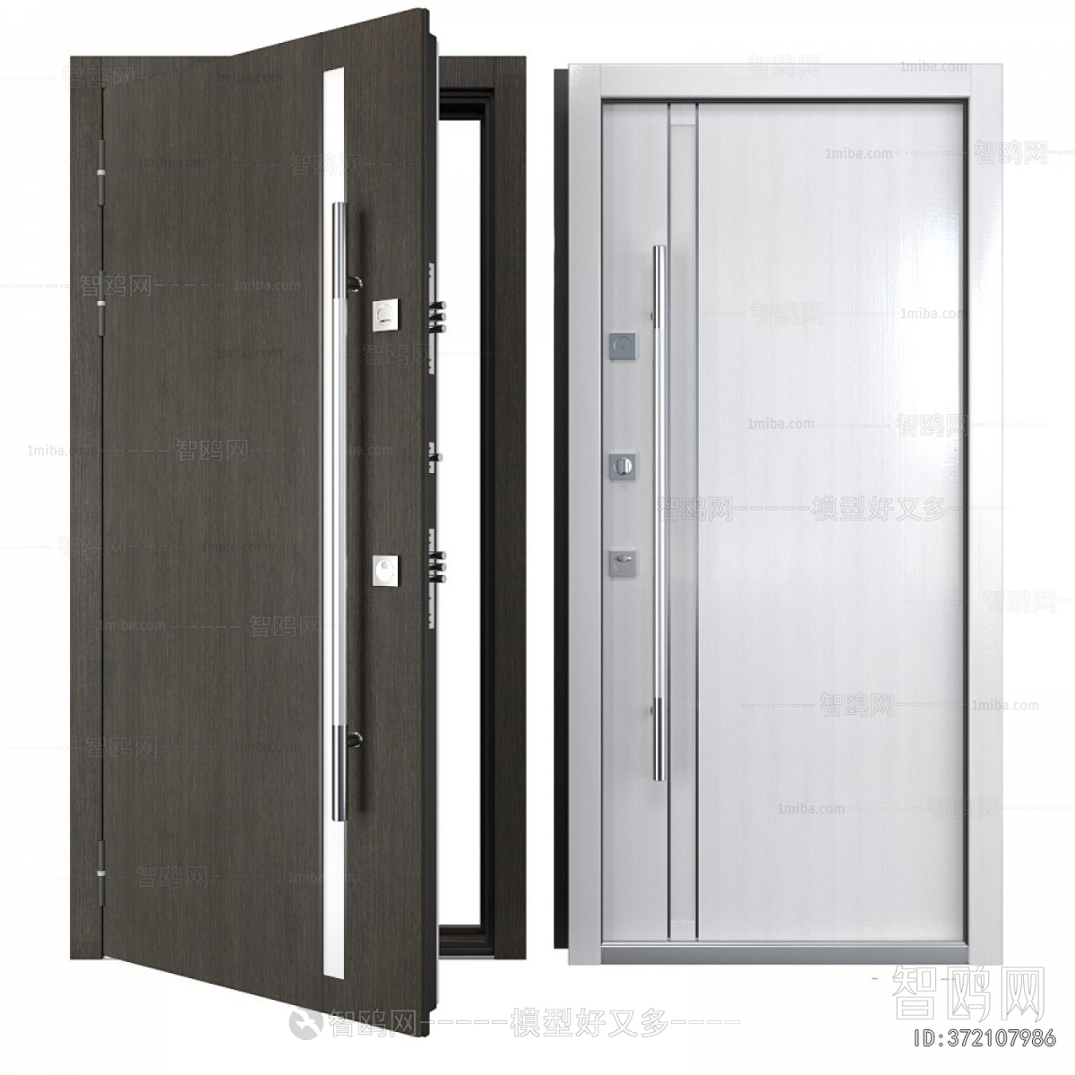 Modern Entrance Door