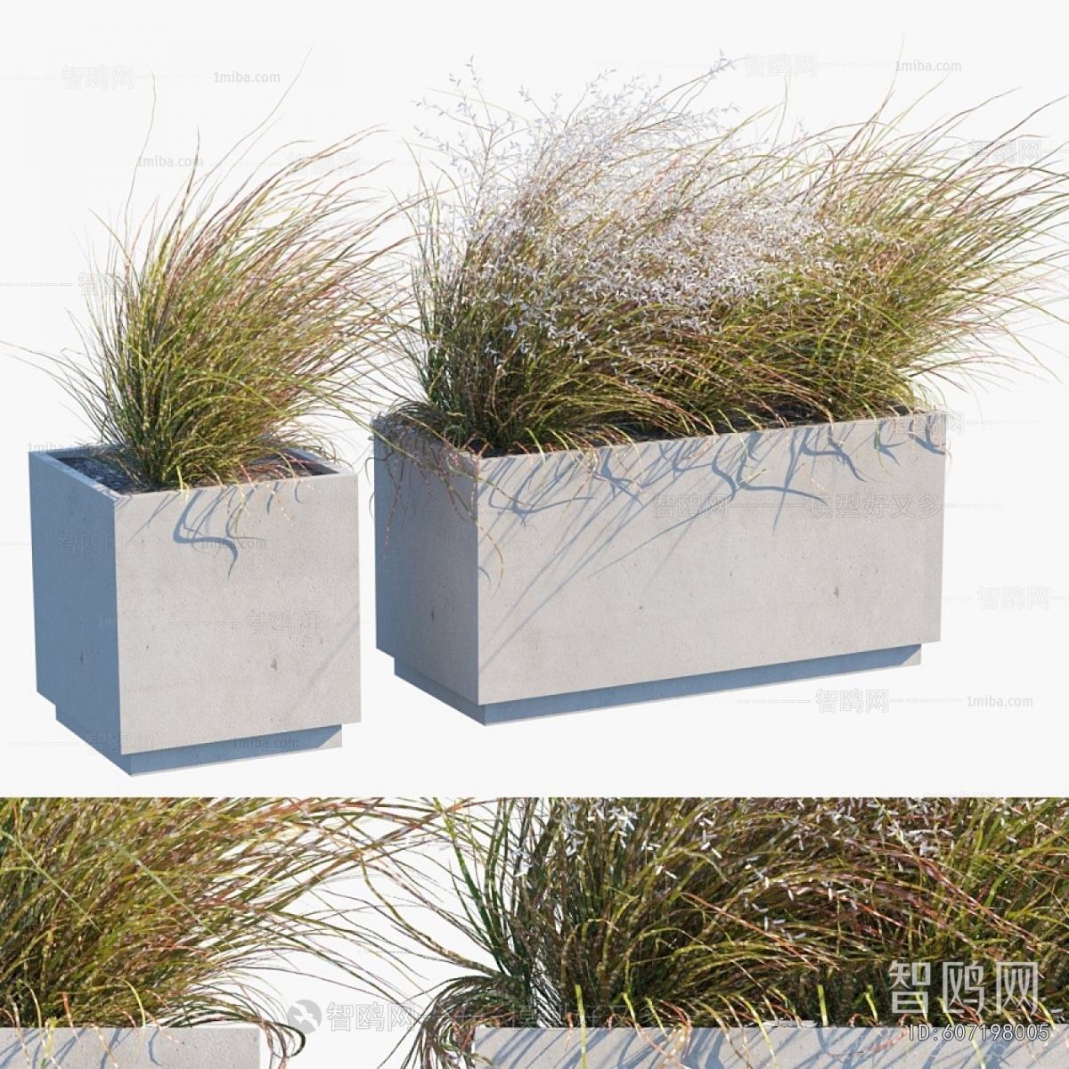 Modern Flower Bed, Flower Bowl, Flower Box
