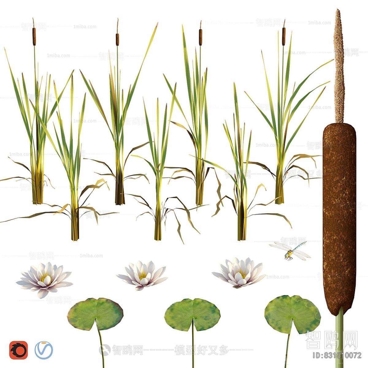 Modern Flowers And Grass