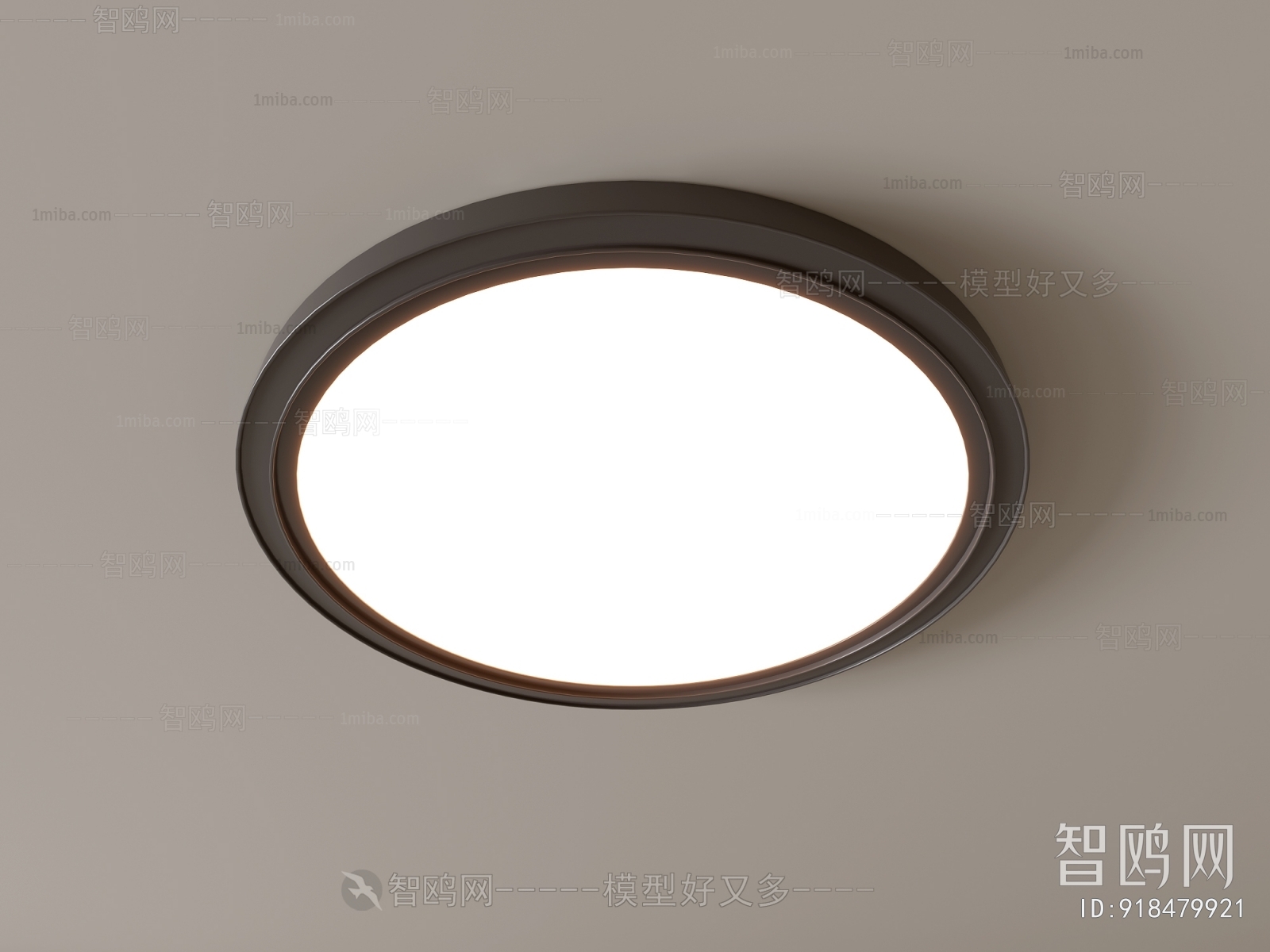 Modern Ceiling Ceiling Lamp