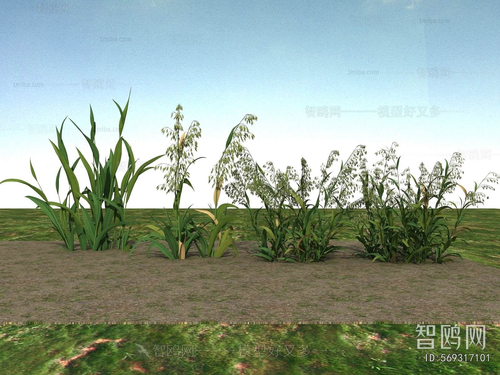 Modern Flowers And Grass