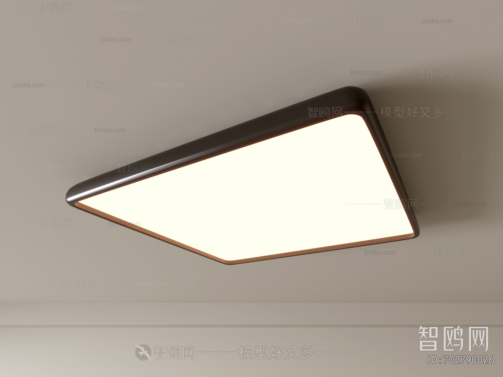 Modern Ceiling Ceiling Lamp