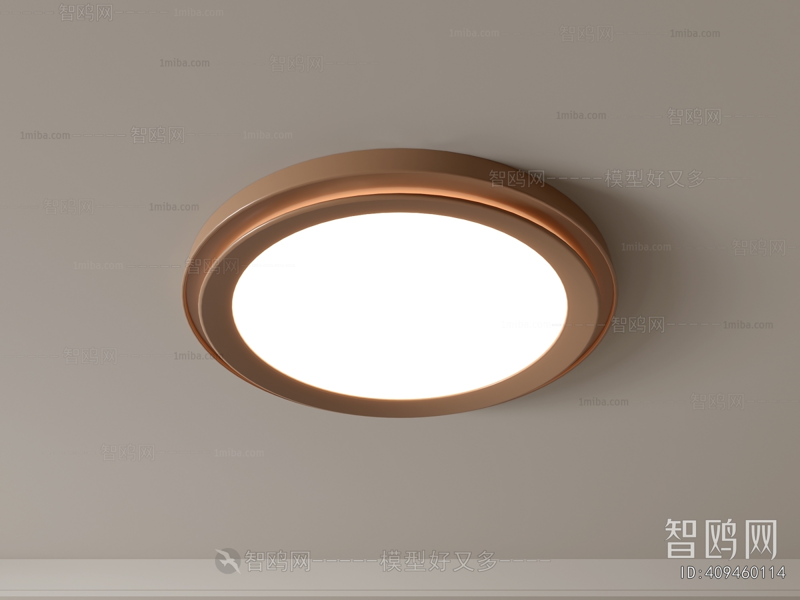 Modern Ceiling Ceiling Lamp