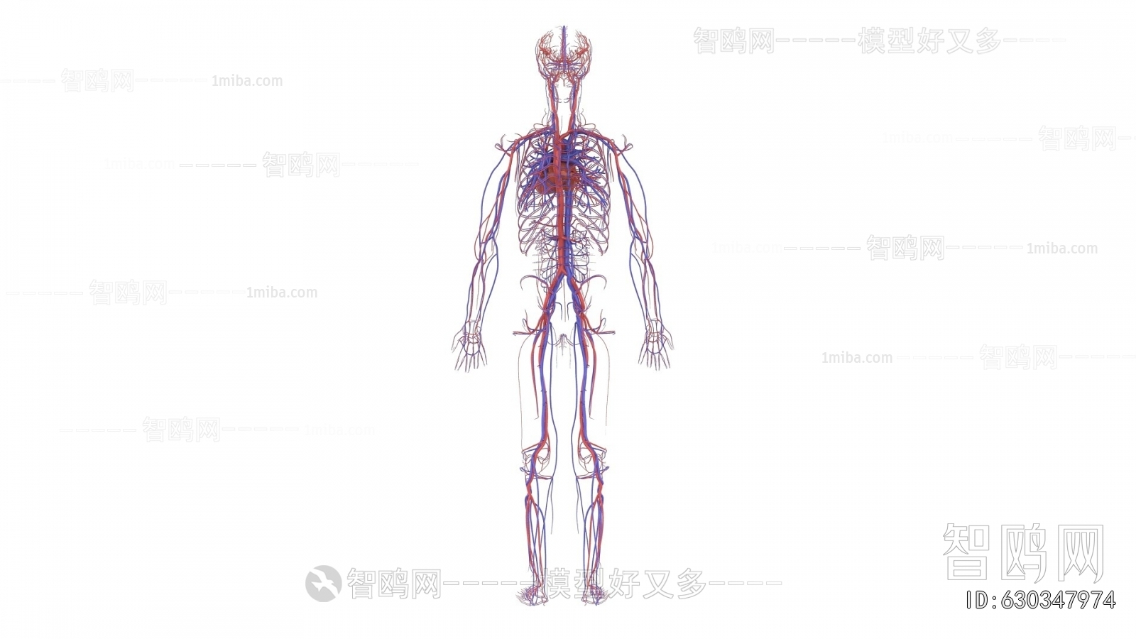 Modern Medical Equipment