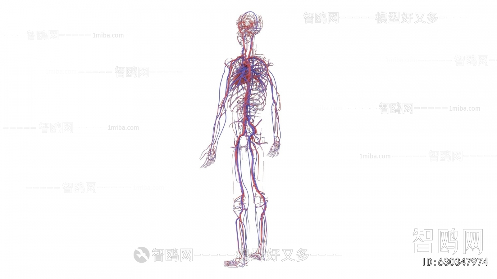 Modern Medical Equipment