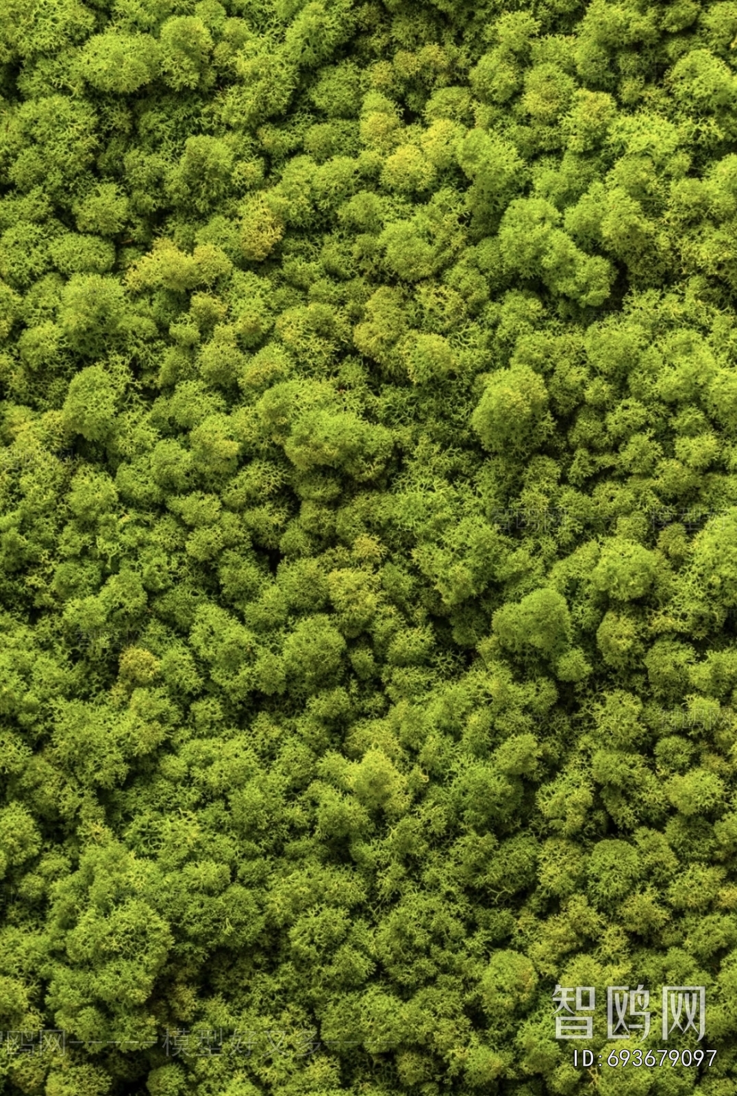 现代苔藓草皮地面贴图