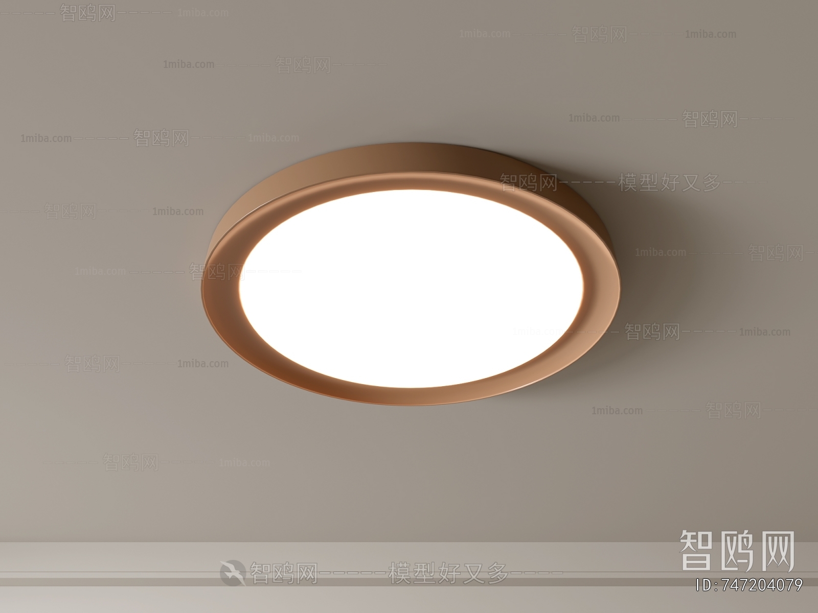 Modern Ceiling Ceiling Lamp