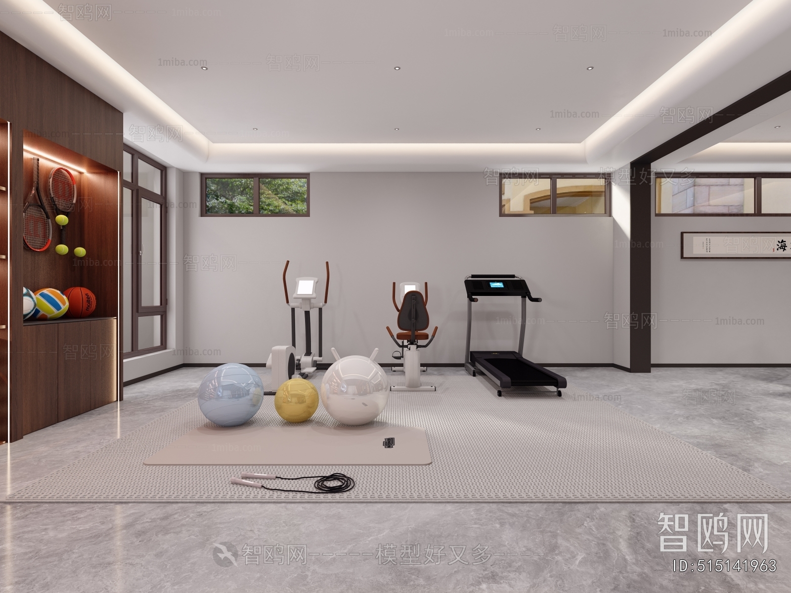 Modern Home Fitness Room
