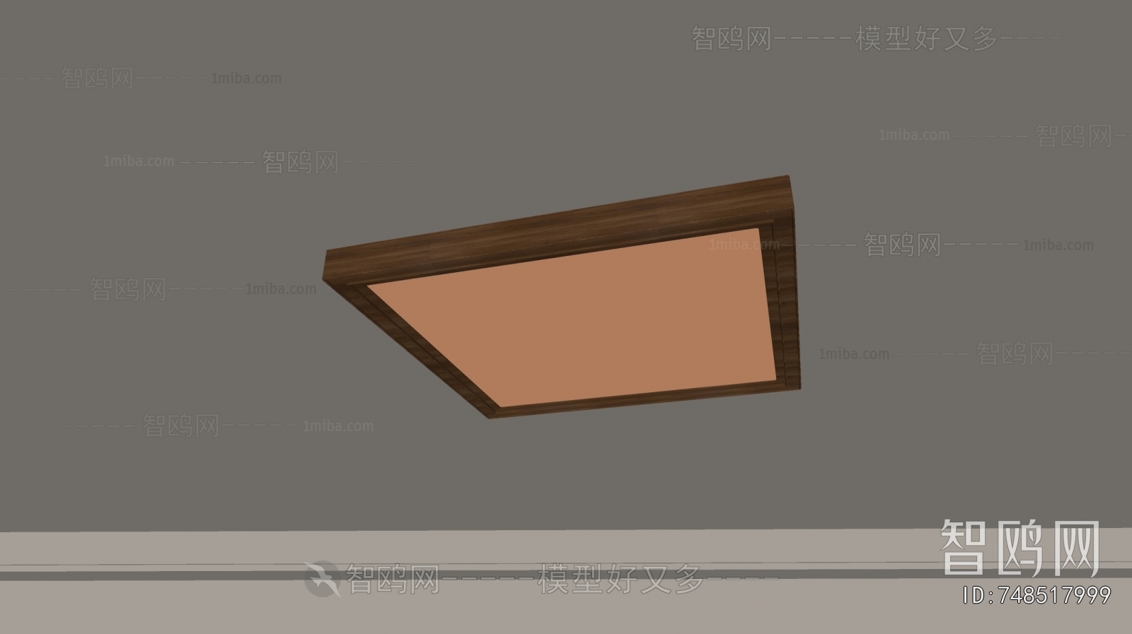 Modern Ceiling Ceiling Lamp