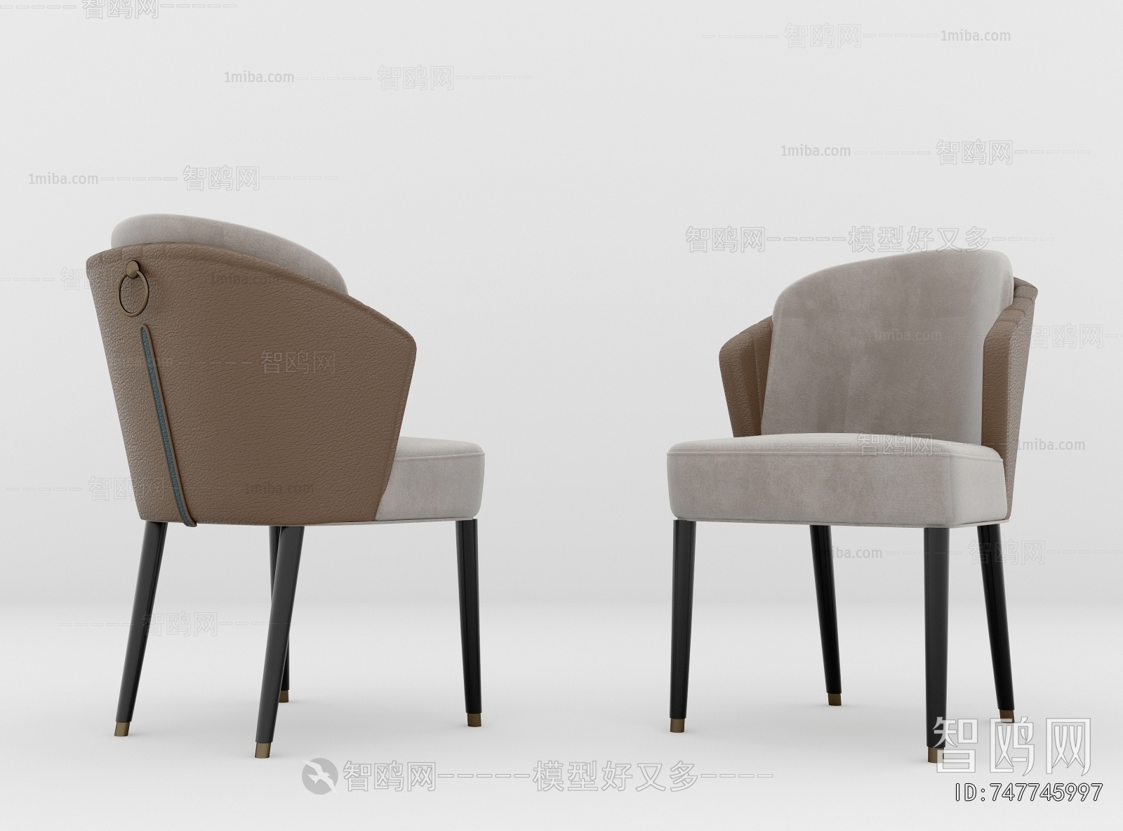 Modern Dining Chair