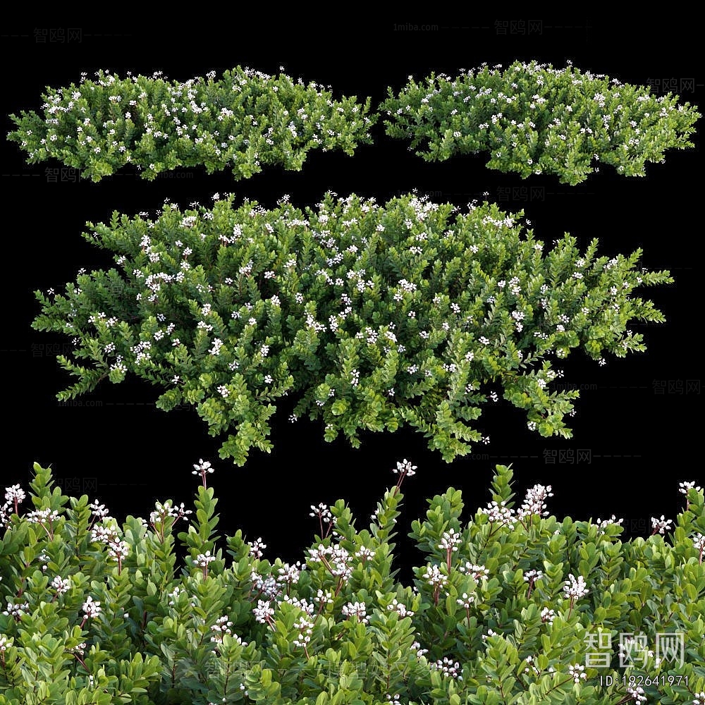 Modern Shrubbery