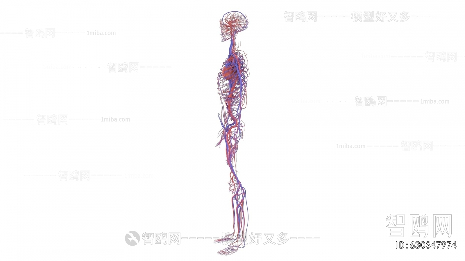 Modern Medical Equipment