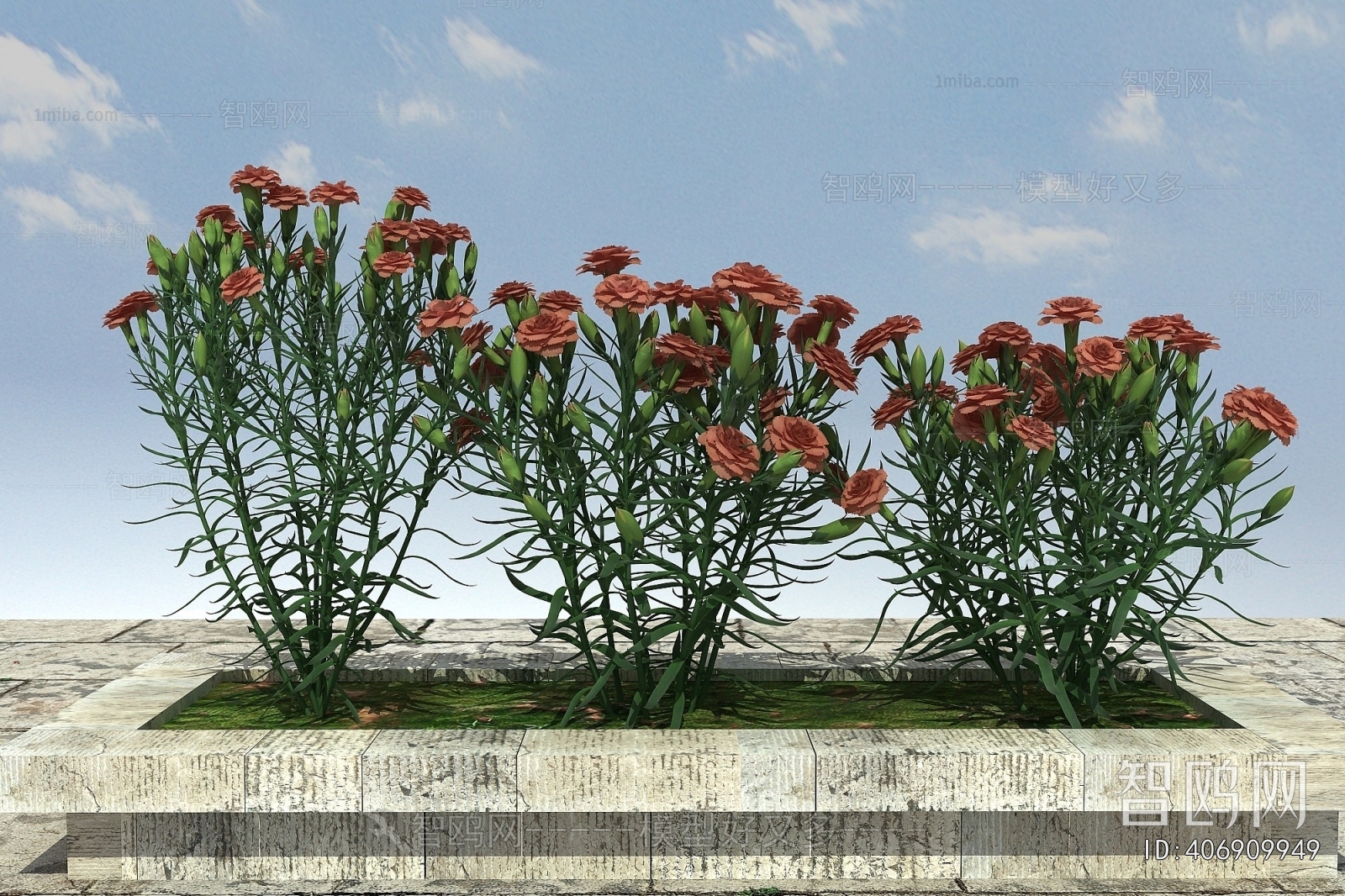 Modern Flowers And Grass