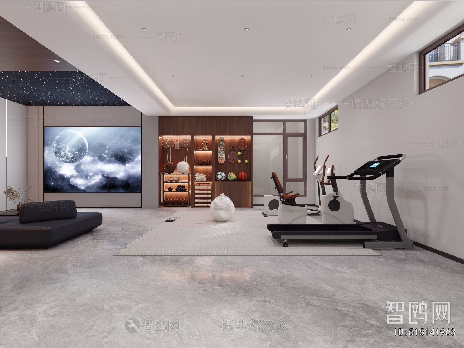 Modern Home Fitness Room