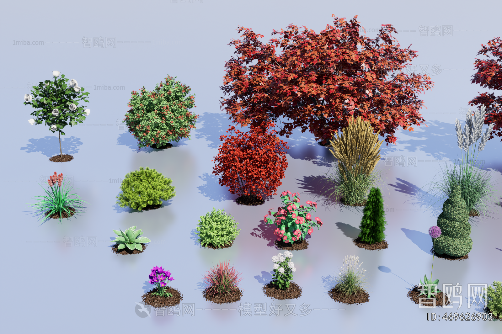 Modern Flowers And Grass