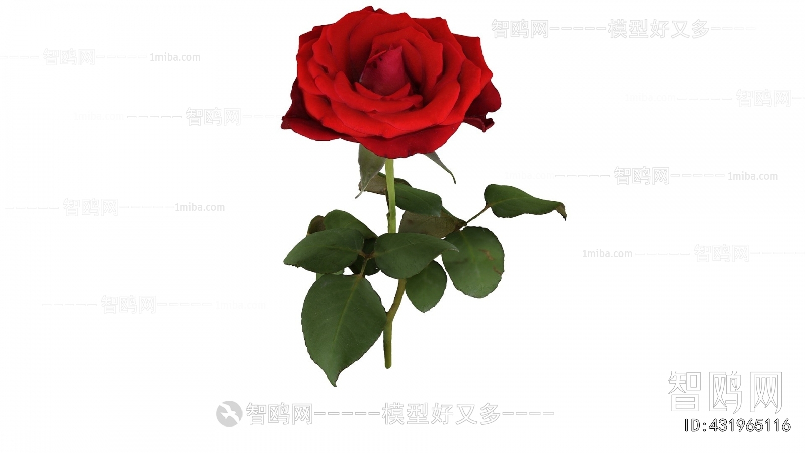 Modern Flowers And Grass