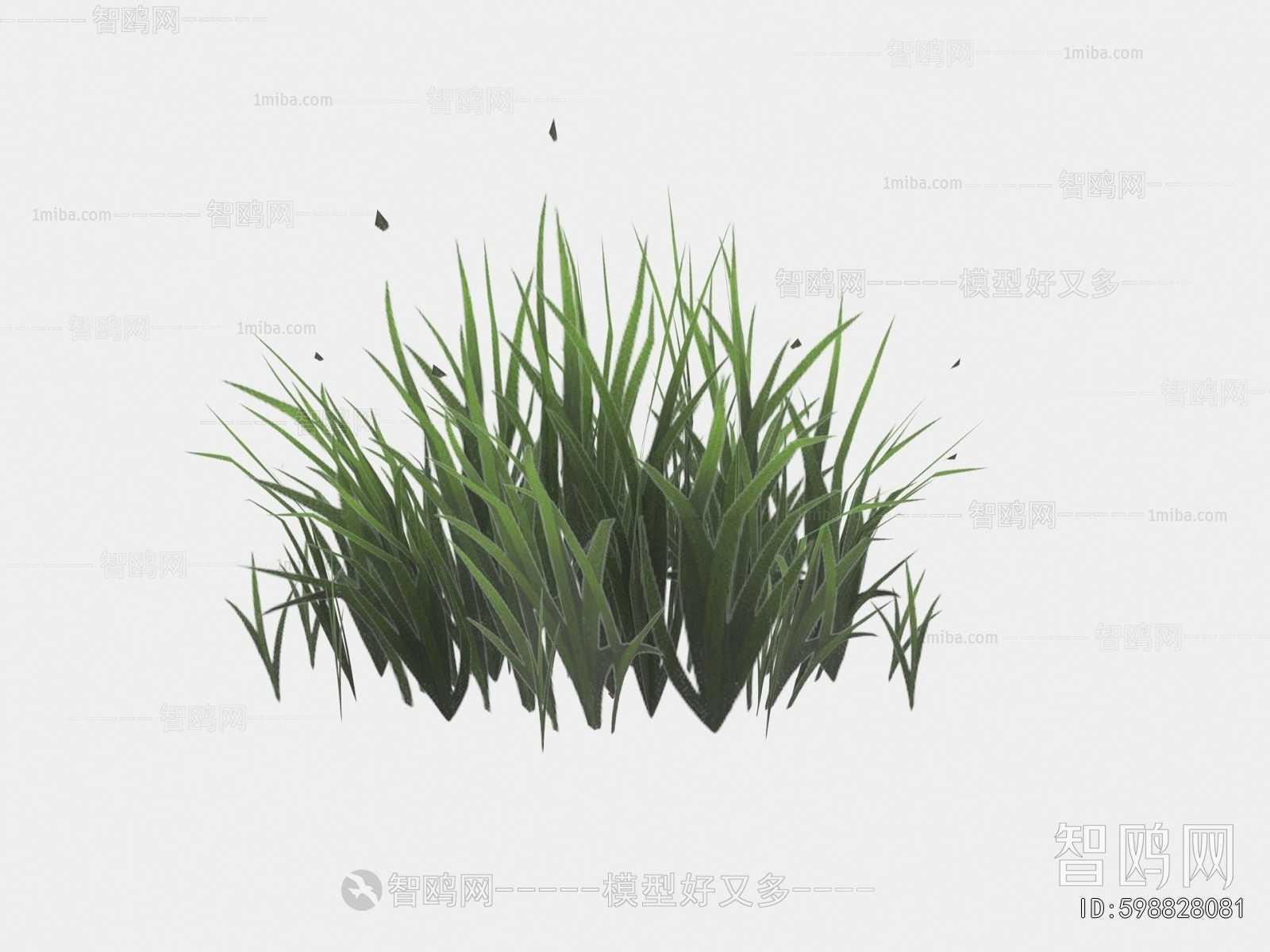 Modern The Grass