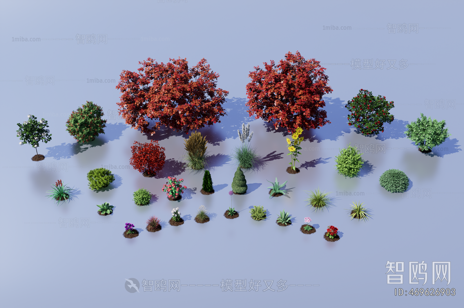 Modern Flowers And Grass