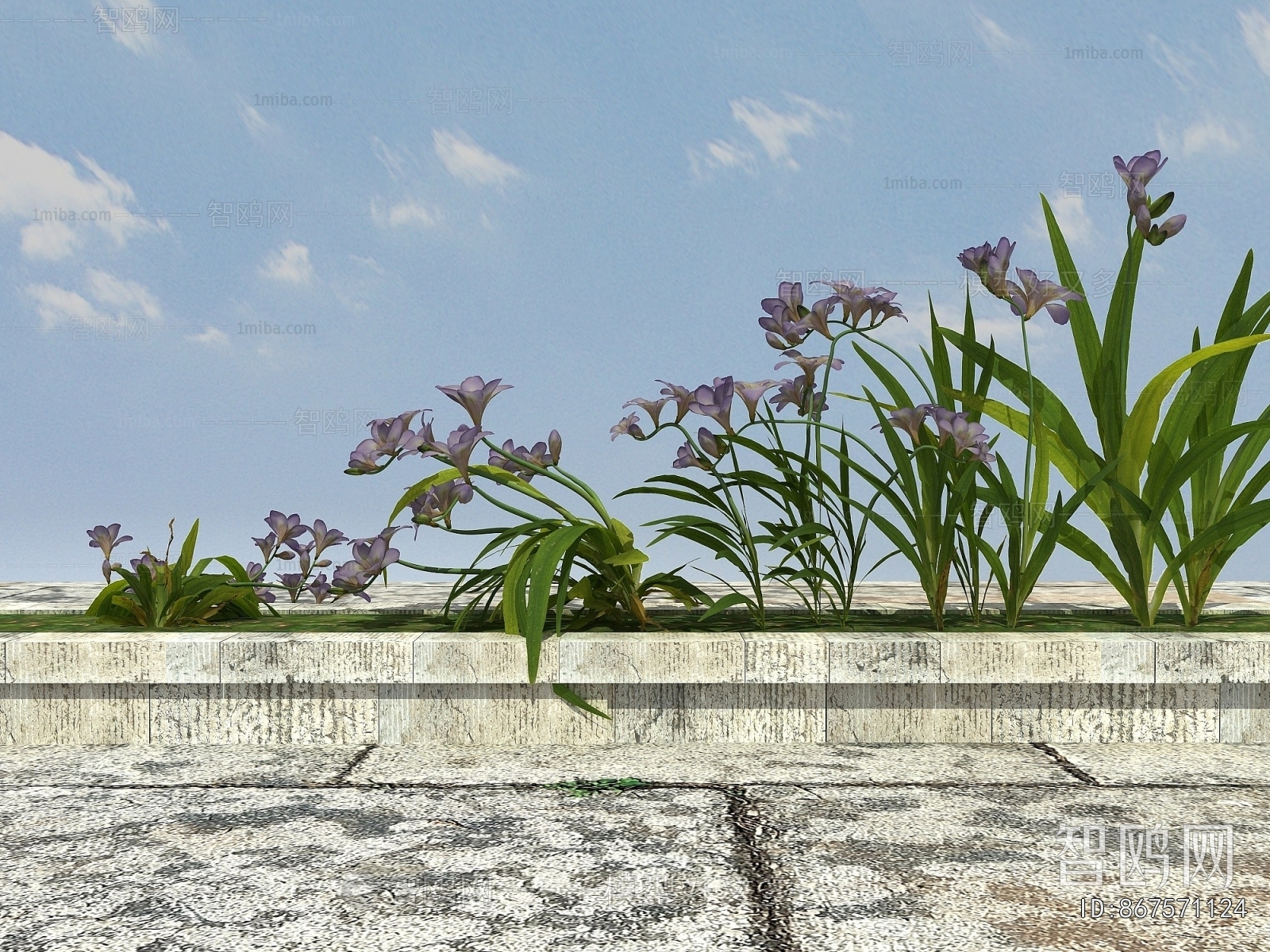 Modern Flowers And Grass